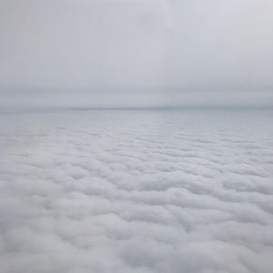 Meet your Posher, Tammi